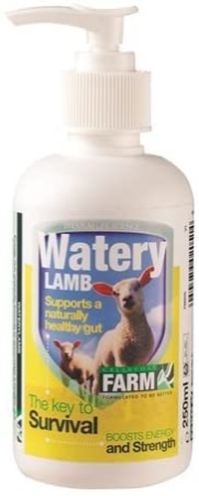 watery lamb