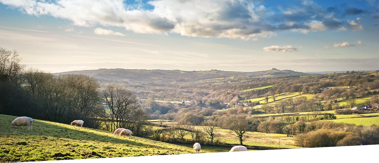 PMR-Wales-Landscape